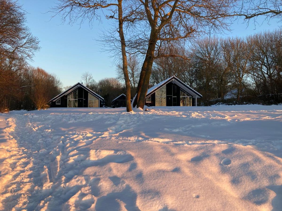 Ferienhaeuser Boddenstrand Wiek auf Rügen 외부 사진